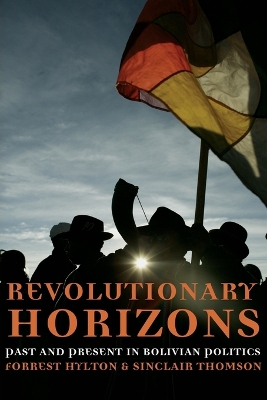 Revolutionary Horizons book