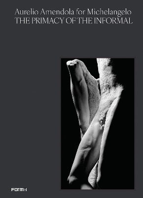 Aurelio Amendola for Michelangelo: The Primacy of the Informal book