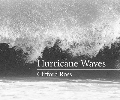 Hurricane Waves book