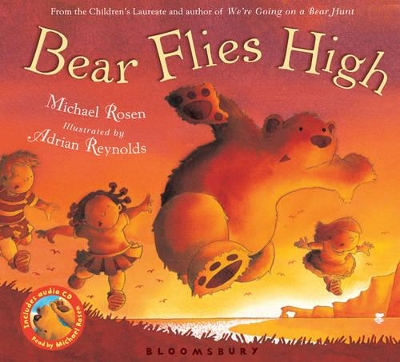Bear Flies High book