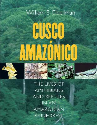 Cusco Amazonico book
