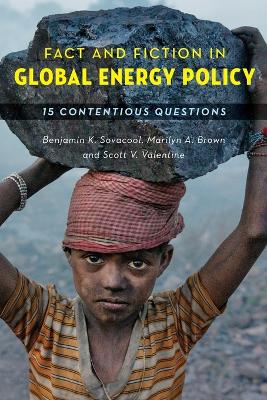 Fact and Fiction in Global Energy Policy book