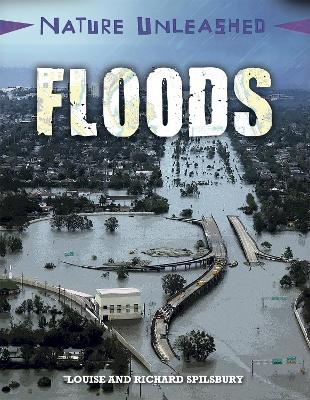 Nature Unleashed: Floods book
