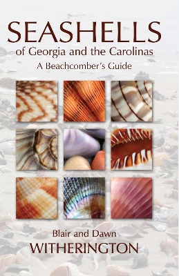 Seashells of Georgia and the Carolinas book