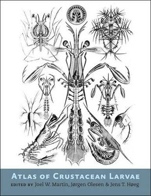 Atlas of Crustacean Larvae book