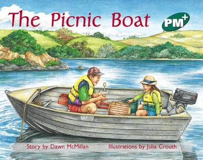 The Picnic Boat book