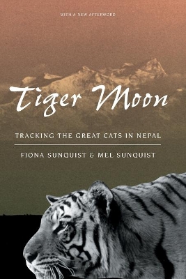 Tiger Moon book