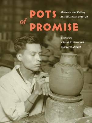 Pots of Promise book