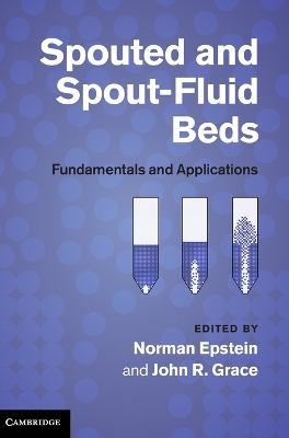 Spouted and Spout-Fluid Beds book