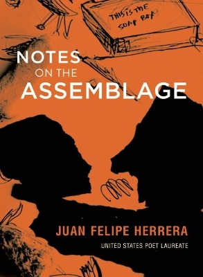Notes on the Assemblage book