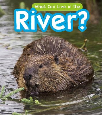 What Can Live in a River? book
