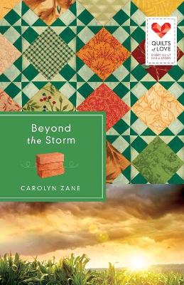 Beyond the Storm book