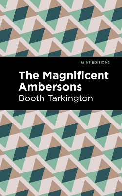 The Maginificent Ambersons book