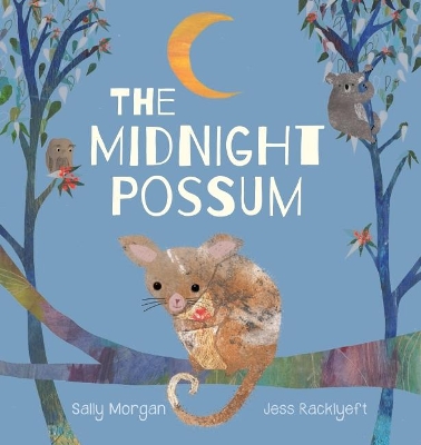 Midnight Possum book