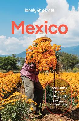 Lonely Planet Mexico by Lonely Planet