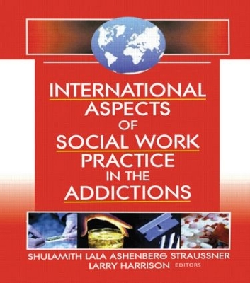 International Aspects of Social Work Practice in the Addictions by Shulamith L A Straussner