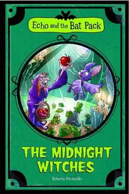 Midnight Witches book