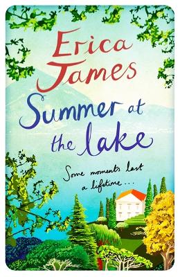 Summer at the Lake book