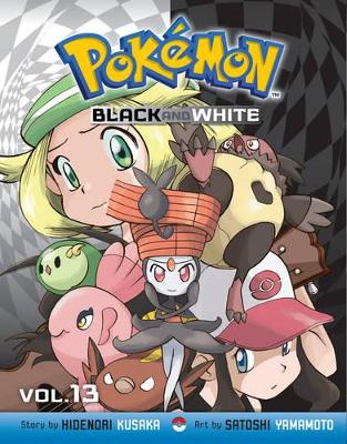 Pokemon Black and White, Vol. 13 book