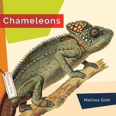 Chameleons book