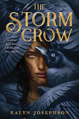 The Storm Crow book