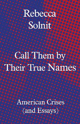 Call Them by Their True Names: American Crises (and Essays) book