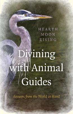 Divining with Animal Guides book