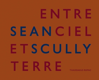 Sean Scully: Entre Ciel Et Terre book