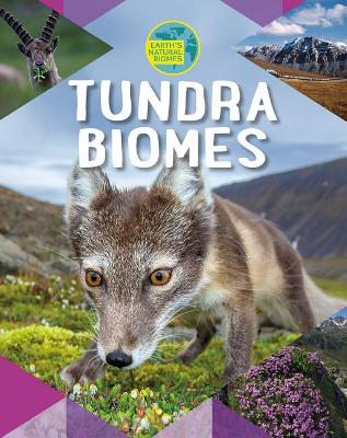 Tundra Biomes by Louise A Spilsbury