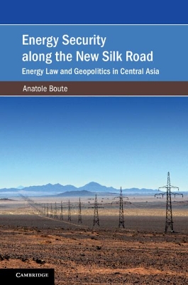 Energy Security along the New Silk Road: Energy Law and Geopolitics in Central Asia book