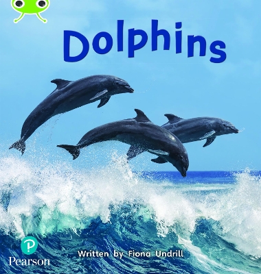 Bug Club Phonics - Phase 5 Unit 13: Dolphins book