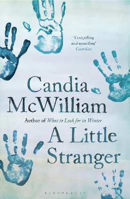 Little Stranger book