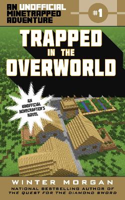 Trapped in the Overworld book