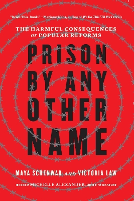 Prison by Any Other Name: The Harmful Consequences of Popular Reforms by Maya Schenwar