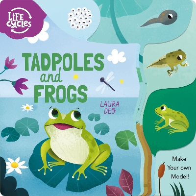 Tadpoles and Frogs: Make Your Own Model! book