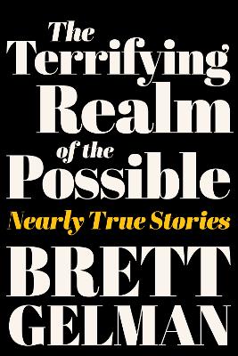 The Terrifying Realm of the Possible: Nearly True Stories book