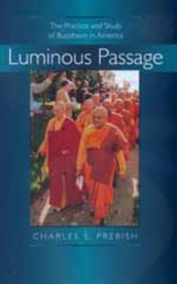 Luminous Passage book