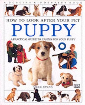 How To Look After Your Pet: Puppy book