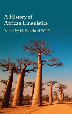 A History of African Linguistics book