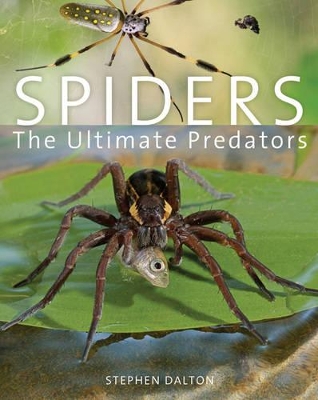 Spiders: The Ultimate Predators by Stephen Dalton