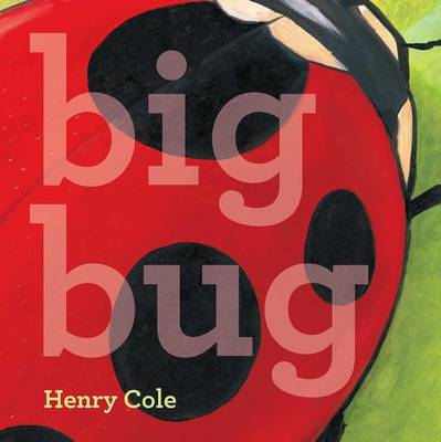 Big Bug board book by Henry Cole