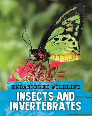 Endangered Wildlife: Rescuing Insects and Invertebrates book