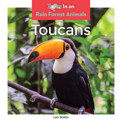 Toucans by Leo Statts