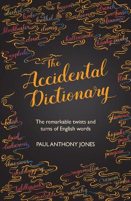 Accidental Dictionary by Paul Anthony Jones