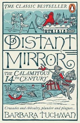 Distant Mirror book