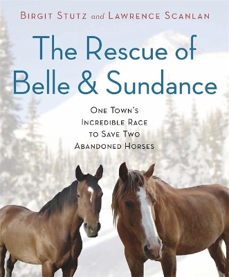 Rescue of Belle and Sundance by Birgit Stutz