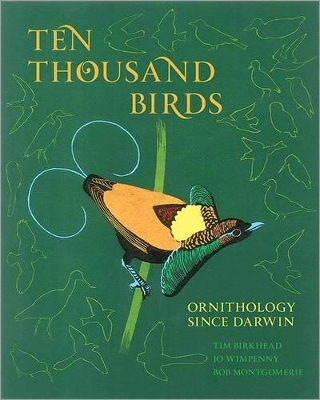 Ten Thousand Birds book