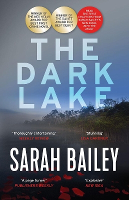 Dark Lake book