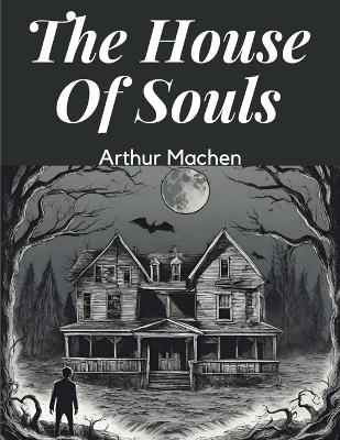 The House Of Souls book