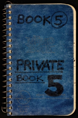 Lee Lozano - Private Book 5 book